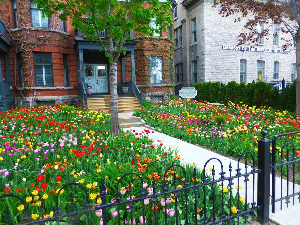 Auberge King Edward Bed And Breakfast Ottawa Quarto foto